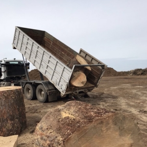 Photo of Clean Green Hauling