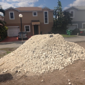 Photo of Bobcat Service