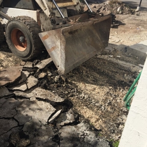 Photo of Bobcat Service
