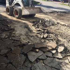 Photo of Bobcat Service