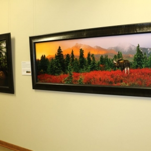 Photo of The Evelyn Burrow Museum