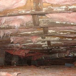 Photo of Structural Solutions