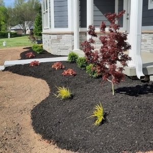 Photo of Allscape Landscaping and Lawn Care