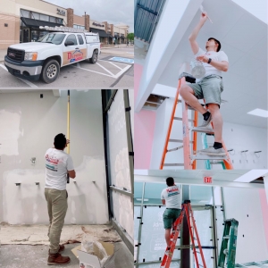 Photo of Daphne's Pro Painters