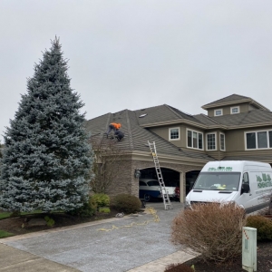 Photo of HOMEMASTERS Vancouver
