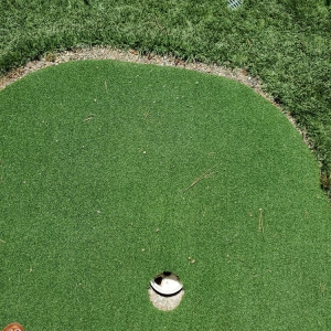 Photo of Synthetic Grass Warehouse