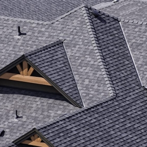 Photo of Endless Summer Roofing