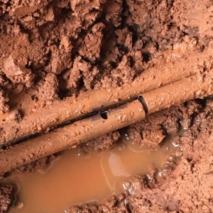 Photo of Coleman Plumbing Services