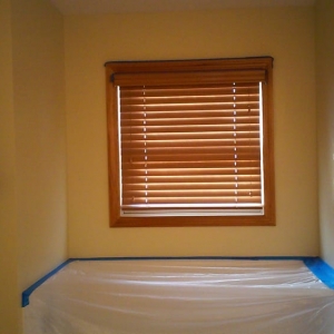 Photo of ADAPT Painting