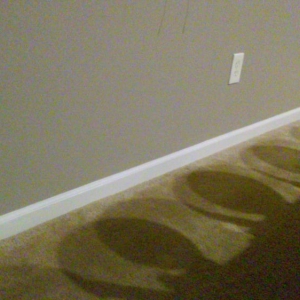 Photo of ADAPT Painting