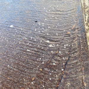 Photo of Houston Concrete Staining