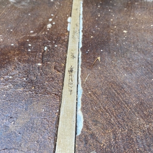 Photo of Houston Concrete Staining