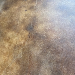Photo of Houston Concrete Staining