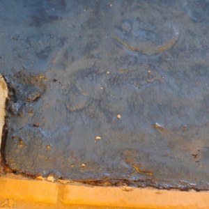 Photo of Houston Concrete Staining