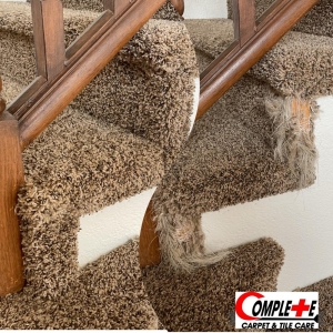 Photo of Complete Carpet and Tile Care