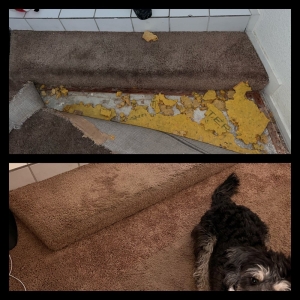 Photo of Complete Carpet and Tile Care