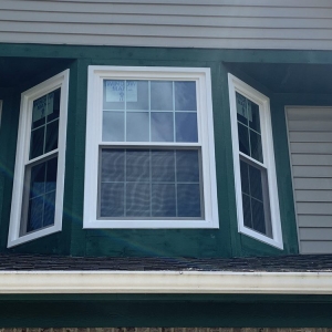 Photo of Window Man