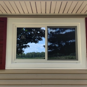 Photo of Window Man