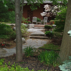 Photo of Terrafirma