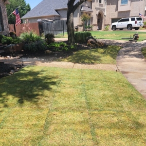 Photo of All American Lawn and Tree Service