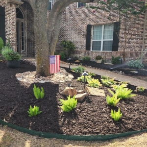 Photo of All American Lawn and Tree Service