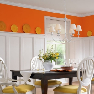 Photo of Your Peoria Painter