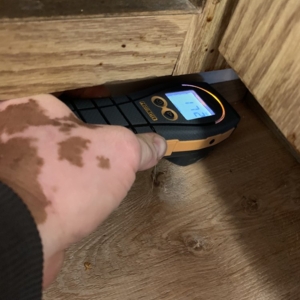 Photo of 5 Star Water Damage Restoration