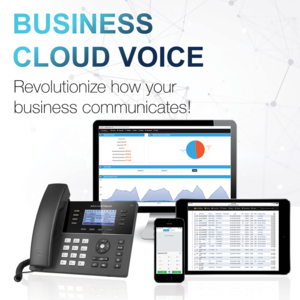 Photo of Simple Voice Inc