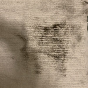 Photo of Connect Lazerwash