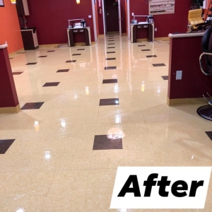 Photo of Maxi-Clean Services