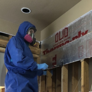Photo of AZ Water Damage Experts