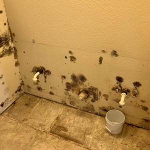 Photo of AZ Water Damage Experts