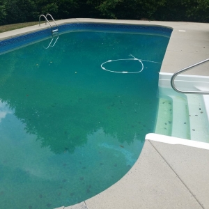 Photo of Atlantis Pool Cleaning