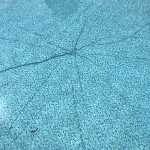 Photo of Pool City