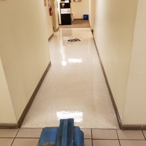 Photo of Floor Care Specialists
