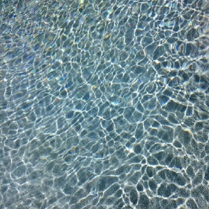 Photo of Clearwater of Poway