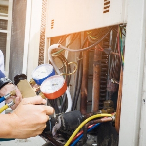 Photo of DM Select Services - Alexandria