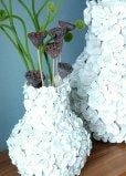 Cambridge Carol S. Krieger Interior Design