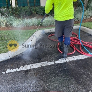 Photo of Sunny Pressure Cleaning Pinecrest