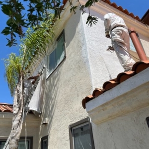 Photo of Golden West Painting