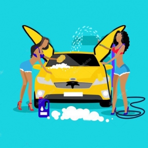 Decatur A Woman's Touch Car Spa and Salon