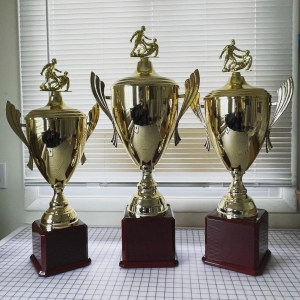 Photo of Advantage Trophy and Engraving