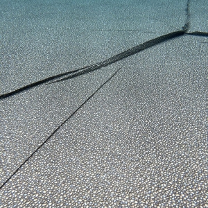 Photo of Performance Pool & Spa