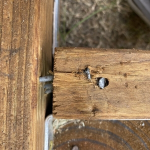 Photo of Mike's Siding & Restoration