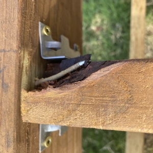 Photo of Mike's Siding & Restoration