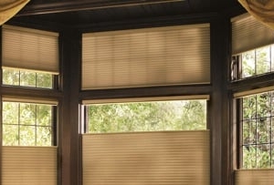 Photo of Window Design