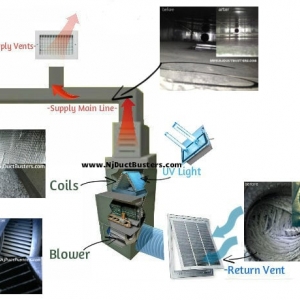 Photo of Jersey Duct Busters