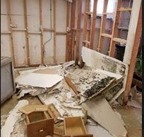 Photo of Kingdom Restoration