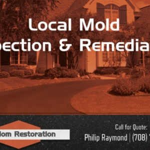 Photo of Kingdom Restoration