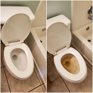 Photo of P & L Pros